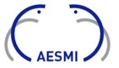gallery/logo aesmi